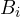 B_i