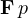 \mathbf F\,p