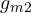 g_{m2}