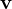 \mathbf v