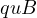 quB