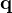 \mathbf q