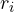r_i