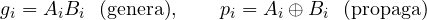 \[ g_i = A_iB_i\ \ \text{(genera)},\qquad p_i = A_i \oplus B_i\ \ \text{(propaga)} \]