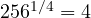 256^{1/4} = 4