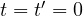 t = t' = 0