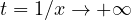 t = 1/x \to +\infty