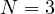 N = 3