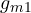 g_{m1}