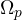 \Omega_p