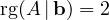 \operatorname{rg}(A\,|\,\mathbf b) = 2