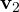 \mathbf v_2