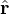 \hat{\mathbf{r}}
