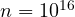 n = 10^{16}