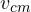 v_{cm}