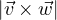 |\vec v\times\vec w|