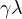 \gamma\lambda