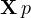 \mathbf X\,p