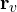 \mathbf r_v