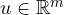 u \in \mathbb{R}^m