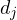 d_j