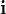 \mathbf i