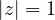 |z| = 1