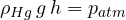 \rho_{Hg}\,g\,h = p_{atm}