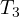 T_3