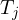 T_j