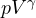 pV^\gamma