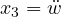 x_3 = \ddot{w}