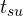 t_{su}
