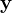 \mathbf y