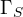 \Gamma_S