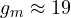 g_m \approx 19