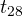 t_{28}