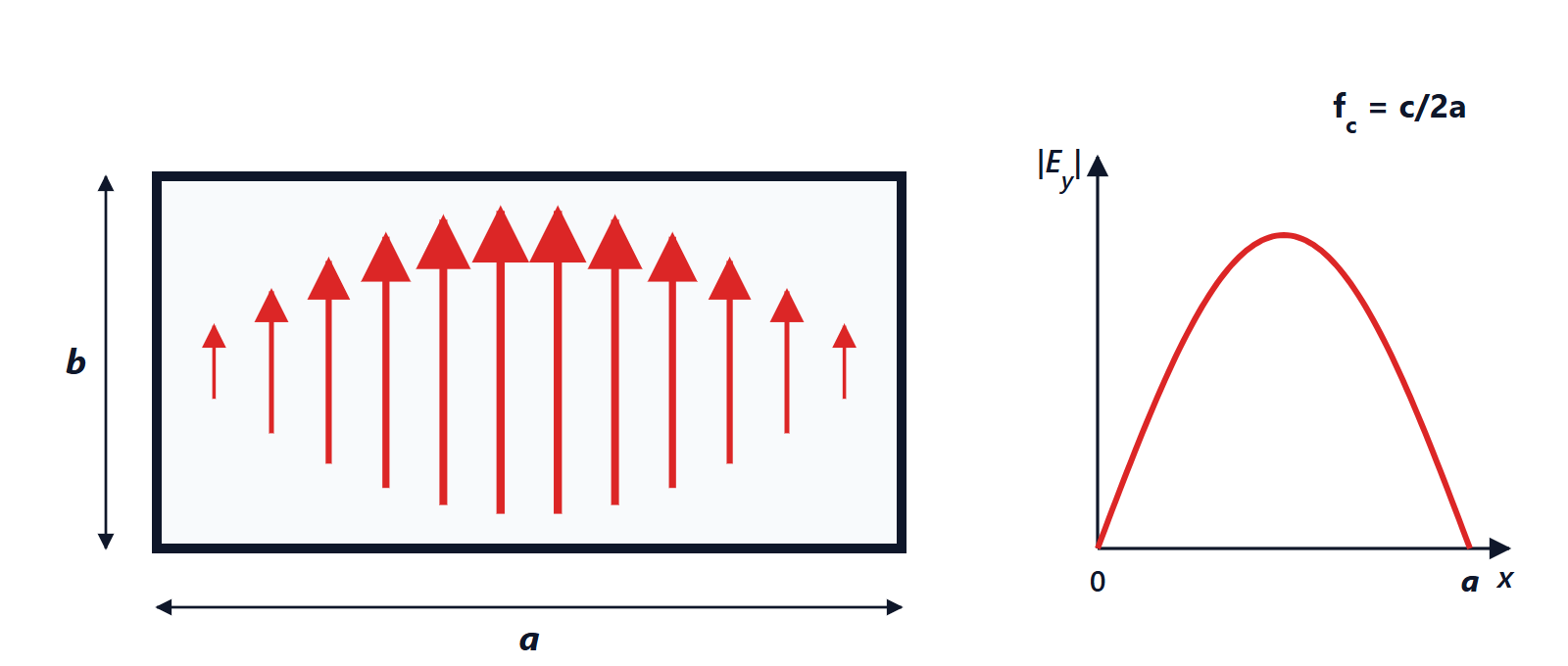 Electric field of the fundamental TE10 mode in the cross-section of a rectangular waveguide