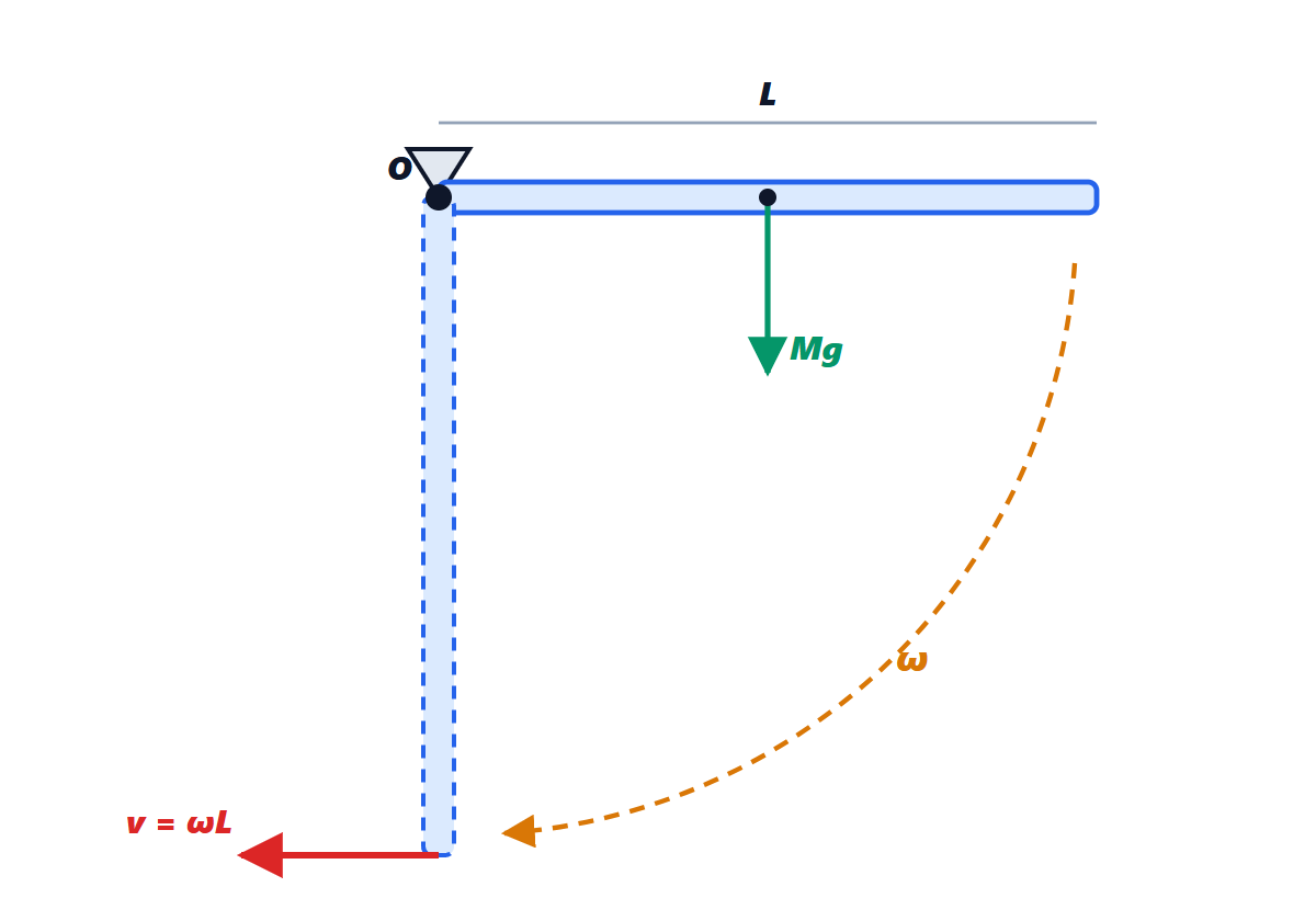 Hinged rod released from the horizontal position
